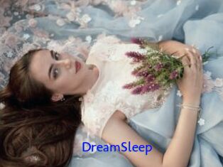 DreamSleep