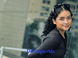 Dahliagarrido