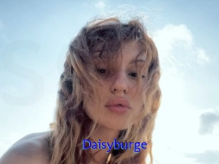Daisyburge