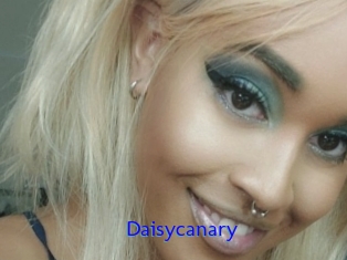Daisycanary