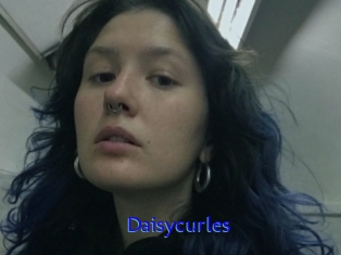 Daisycurles