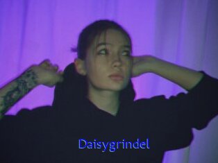 Daisygrindel