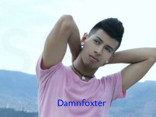 Damnfoxter