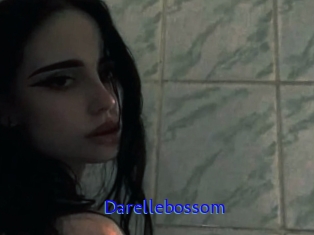 Darellebossom