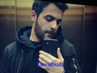 Davidbudz