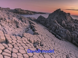 Davidhmodel