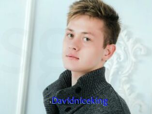 Davidniceking