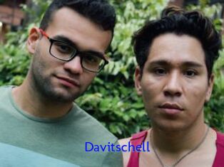 Davitschell