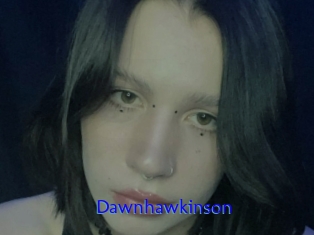 Dawnhawkinson