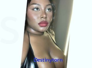 Destinytorn
