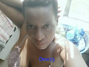 Dew23