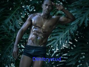 Dimitrystud