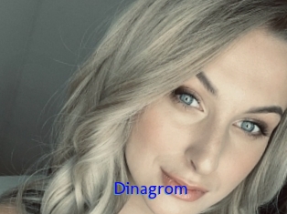 Dinagrom