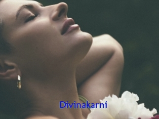 Divinakarni