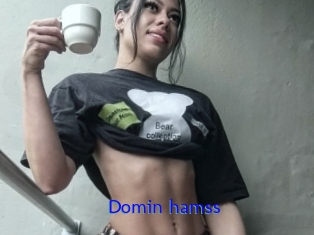 Domin_hamss