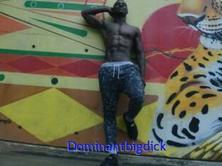 Dominantbigdick