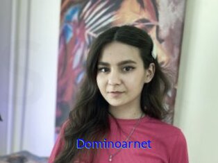 Dominoarnet