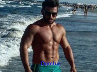 Domluc