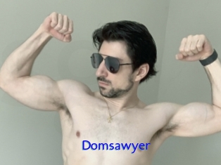 Domsawyer