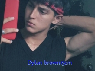 Dylan_brown15cm