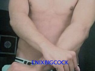 ENIXBIGCOCK