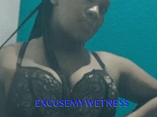 EXCUSEMYWETNESS