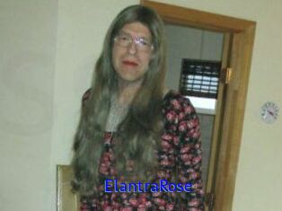 Elantra_Rose