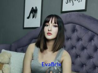 EvaBrix