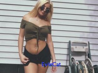 EvieCat