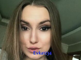Evka1234