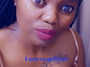 Easterncapeflower