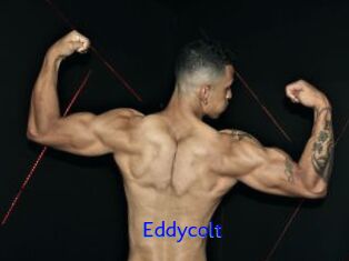Eddycolt