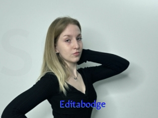 Editabodge
