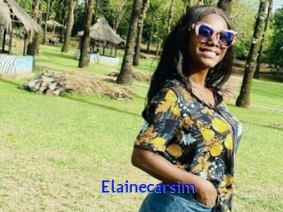 Elainecarsim