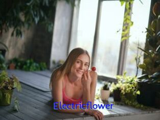 Electricflower
