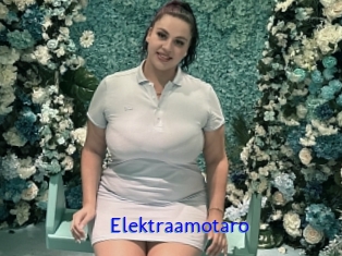 Elektraamotaro