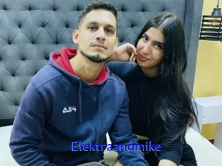 Elektraandmike