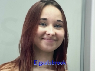 Elgaalsbrook