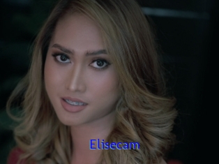 Elisecam