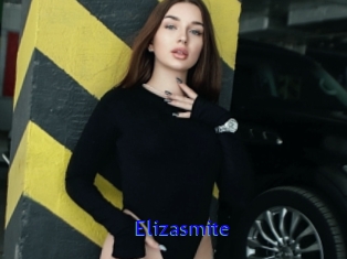 Elizasmite