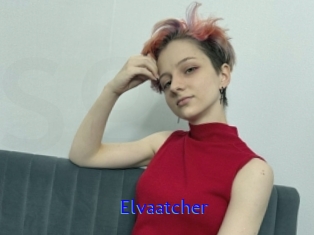 Elvaatcher