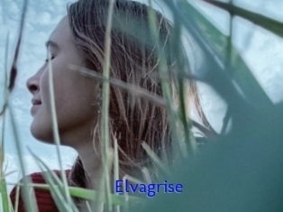 Elvagrise
