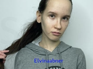 Elvinaabner