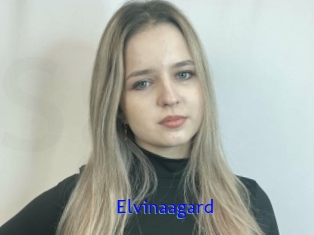 Elvinaagard