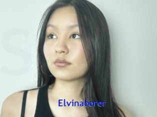 Elvinaborer