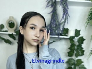 Elvinagrindle