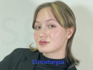 Elvinahargus