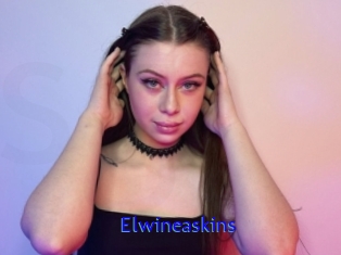Elwineaskins