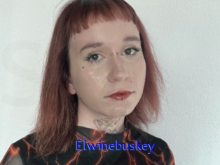 Elwinebuskey