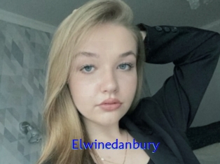 Elwinedanbury